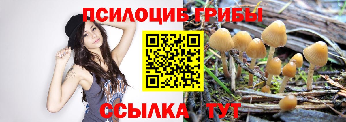Псилоцибиновые грибы Magic Shrooms Троицк